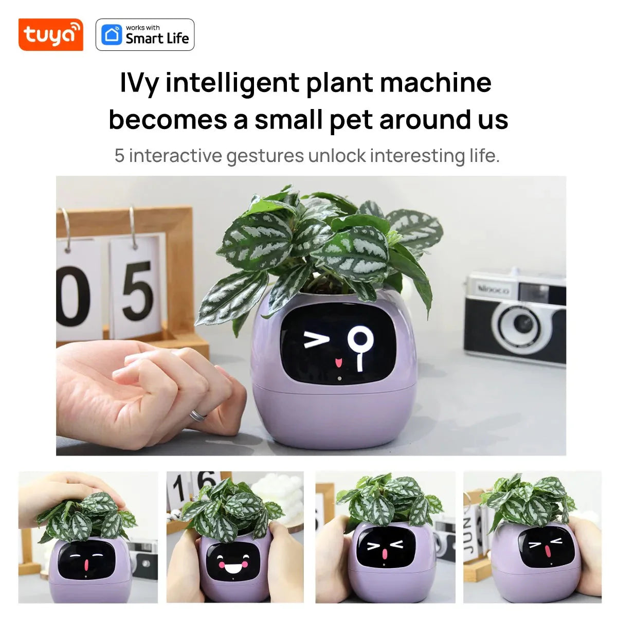 Tuya Ivy Smart Planter, divertimento senza fine con oltre 49 espressioni ricche, 7 sensori intelligenti, chip AI rendono la coltivazione delle piante facile e divertente