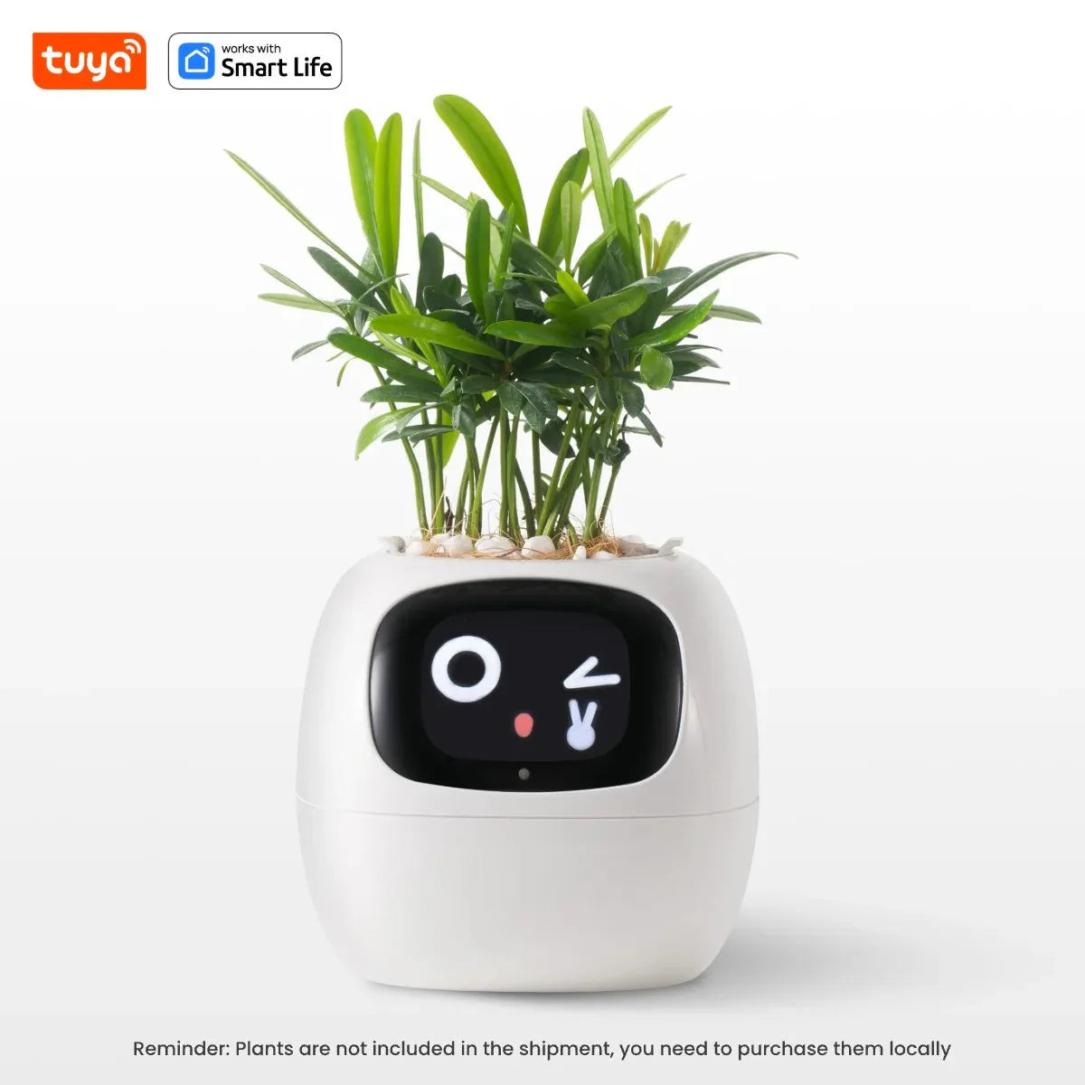 Tuya Ivy Smart Planter, divertimento senza fine con oltre 49 espressioni ricche, 7 sensori intelligenti, chip AI rendono la coltivazione delle piante facile e divertente