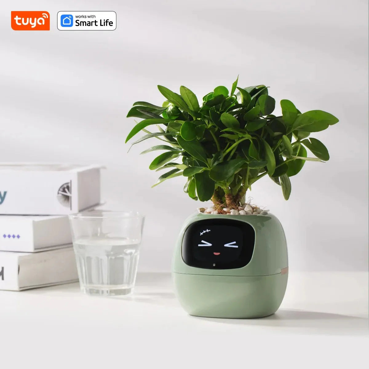 Tuya Ivy Smart Planter, divertimento senza fine con oltre 49 espressioni ricche, 7 sensori intelligenti, chip AI rendono la coltivazione delle piante facile e divertente