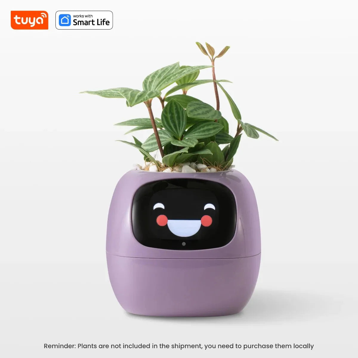 Tuya Ivy Smart Planter, divertimento senza fine con oltre 49 espressioni ricche, 7 sensori intelligenti, chip AI rendono la coltivazione delle piante facile e divertente