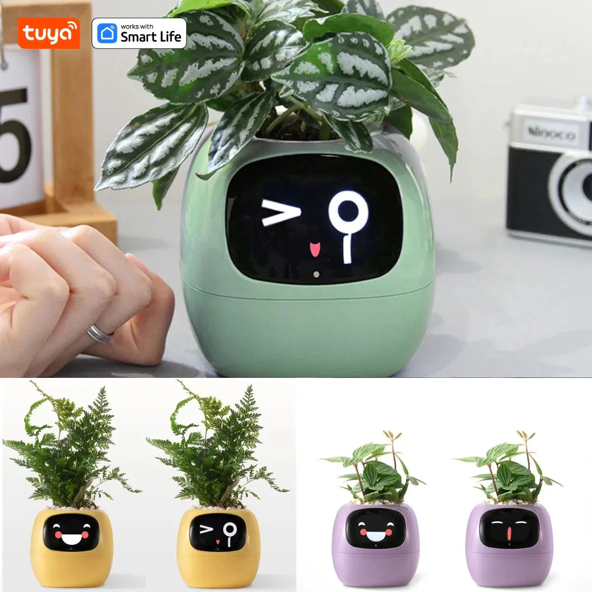 Tuya Ivy Smart Planter, divertimento senza fine con oltre 49 espressioni ricche, 7 sensori intelligenti, chip AI rendono la coltivazione delle piante facile e divertente