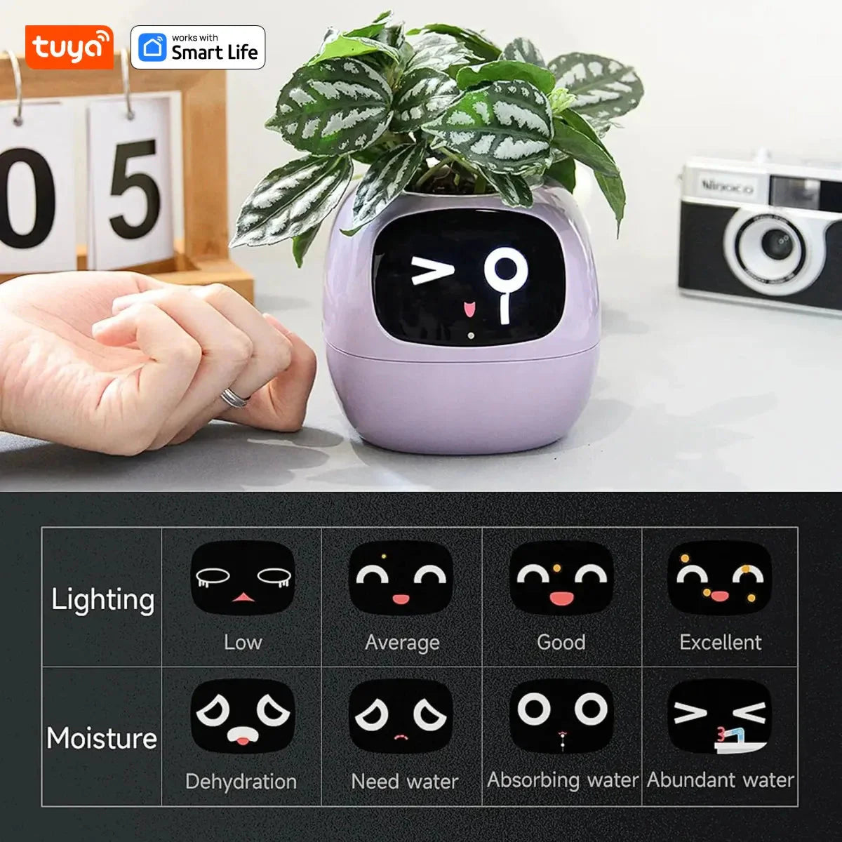 Tuya Ivy Smart Planter, divertimento senza fine con oltre 49 espressioni ricche, 7 sensori intelligenti, chip AI rendono la coltivazione delle piante facile e divertente