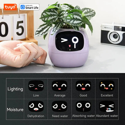 Tuya Ivy Smart Planter, divertimento senza fine con oltre 49 espressioni ricche, 7 sensori intelligenti, chip AI rendono la coltivazione delle piante facile e divertente