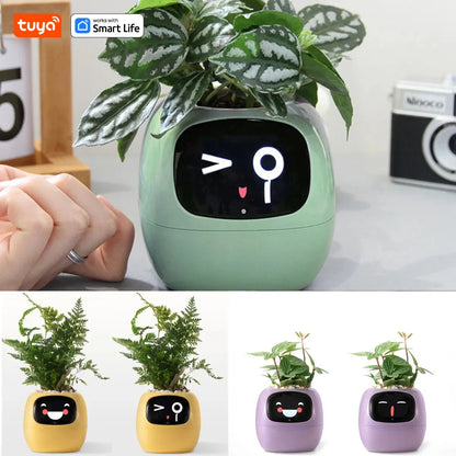 Tuya Ivy Smart Planter, divertimento senza fine con oltre 49 espressioni ricche, 7 sensori intelligenti, chip AI rendono la coltivazione delle piante facile e divertente
